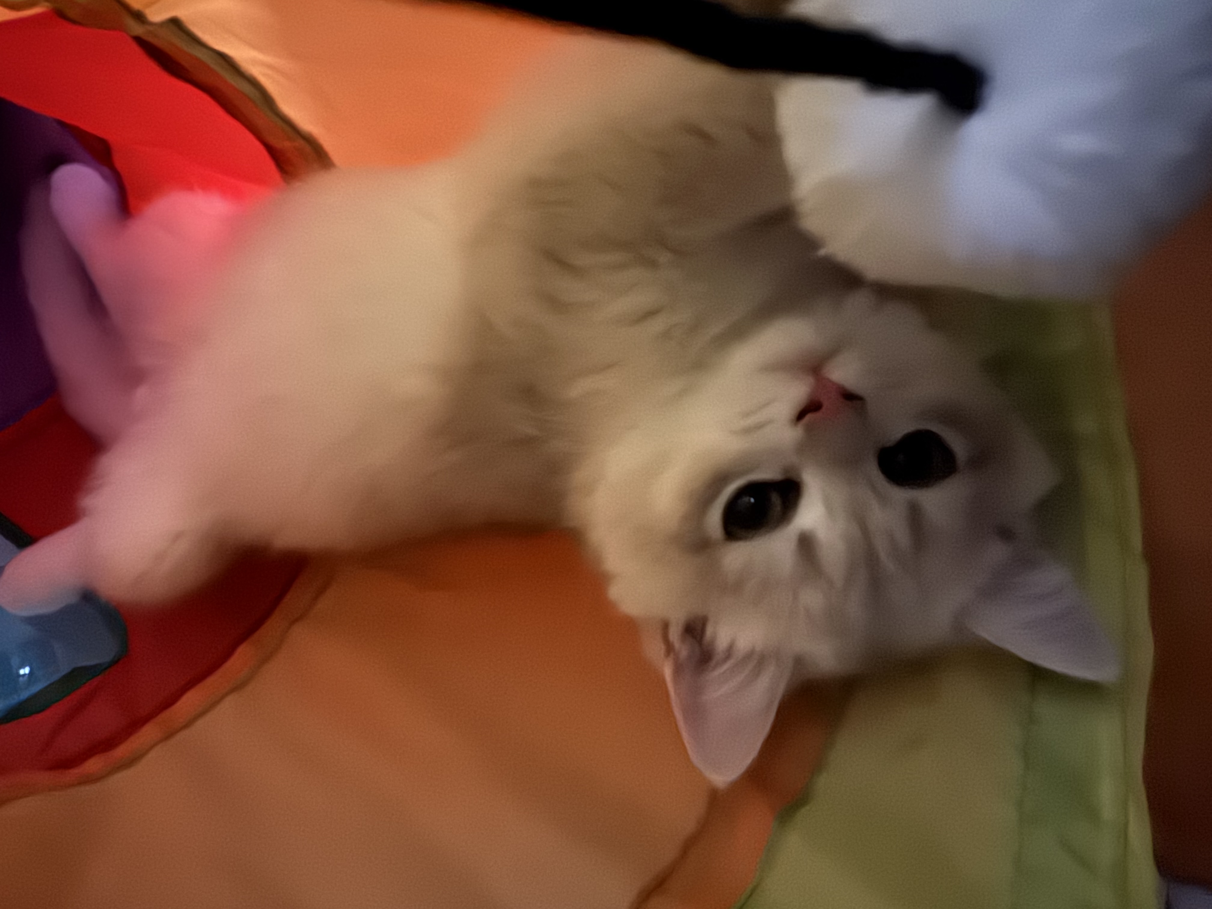 Meiji
