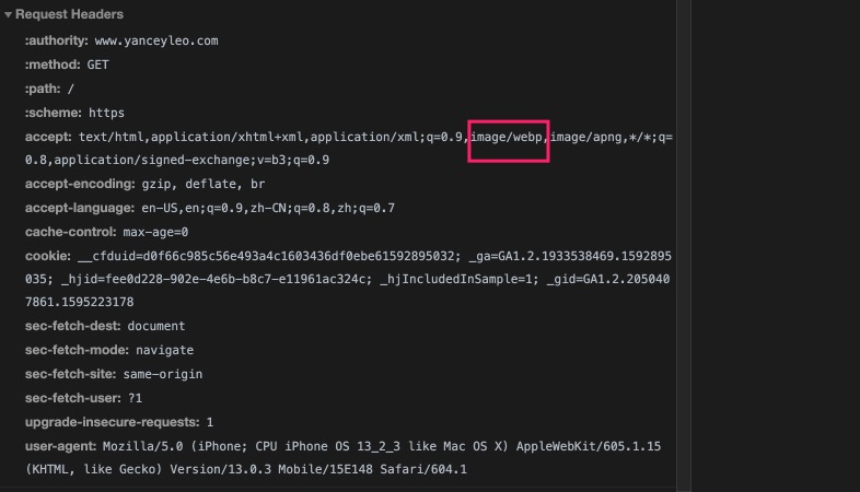HTTP 请求头中记录浏览器是否支持 WebP